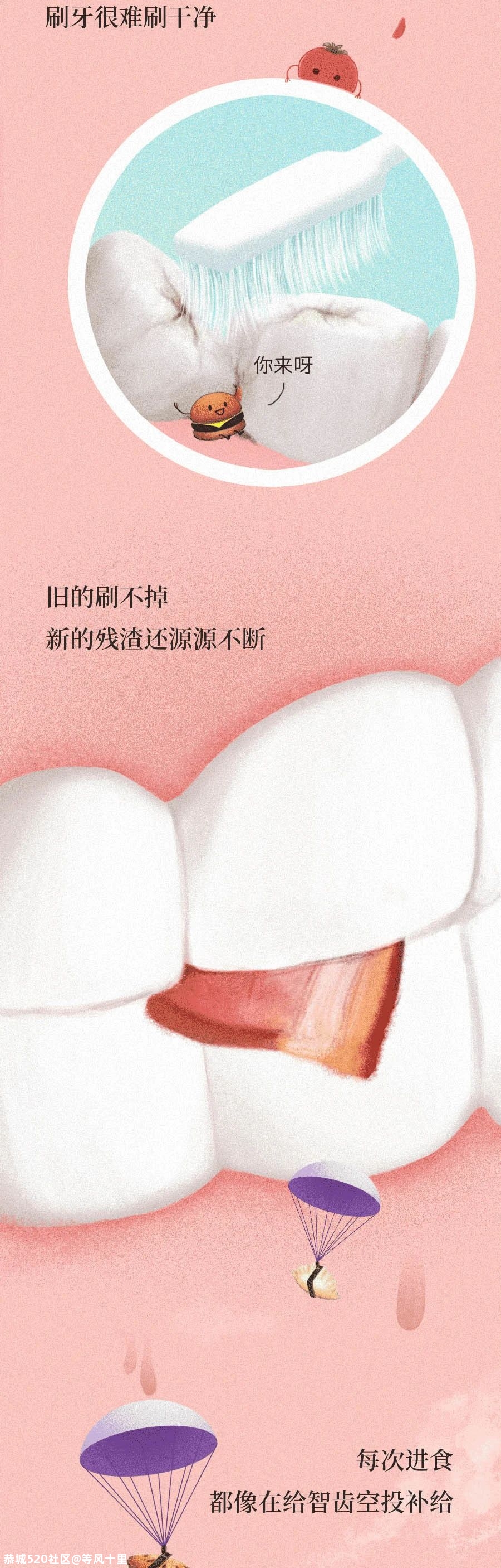 智齿是藏在嘴里的「垃圾桶」，牙疼那都是小事......107 / 作者:等风十里 / 帖子ID:276280