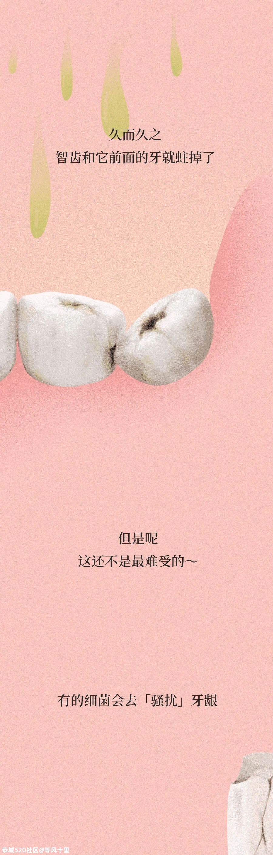 智齿是藏在嘴里的「垃圾桶」，牙疼那都是小事......799 / 作者:等风十里 / 帖子ID:276280