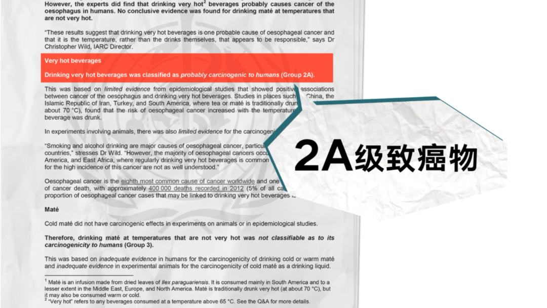 中国人为什么这么爱喝热水？424 / 作者:分叉路口 / 帖子ID:276293