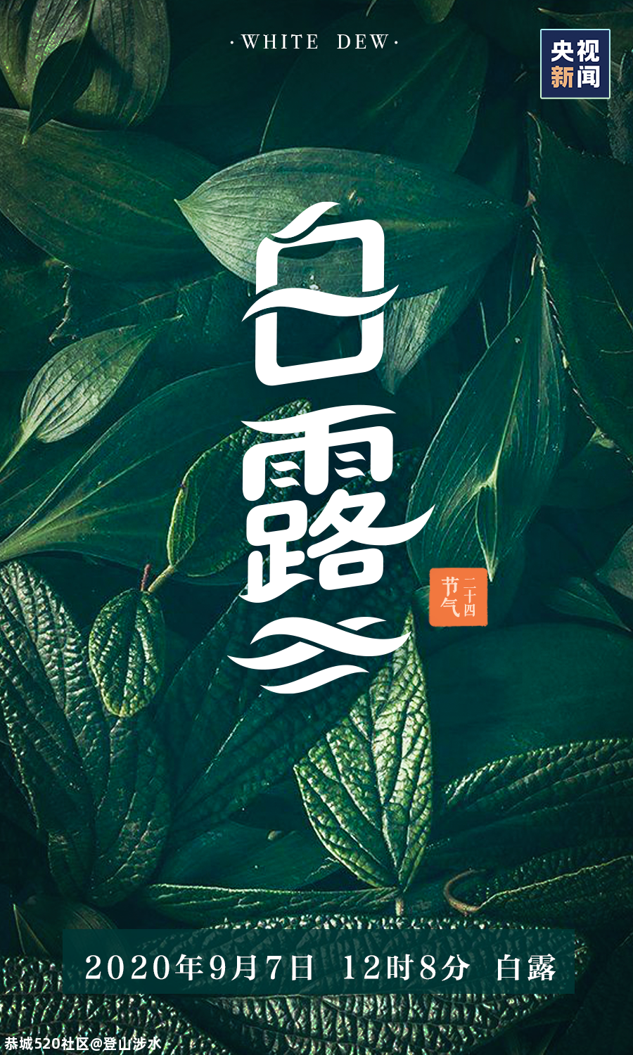 白露至，凉意浓53 / 作者:登山涉水 / 帖子ID:276573