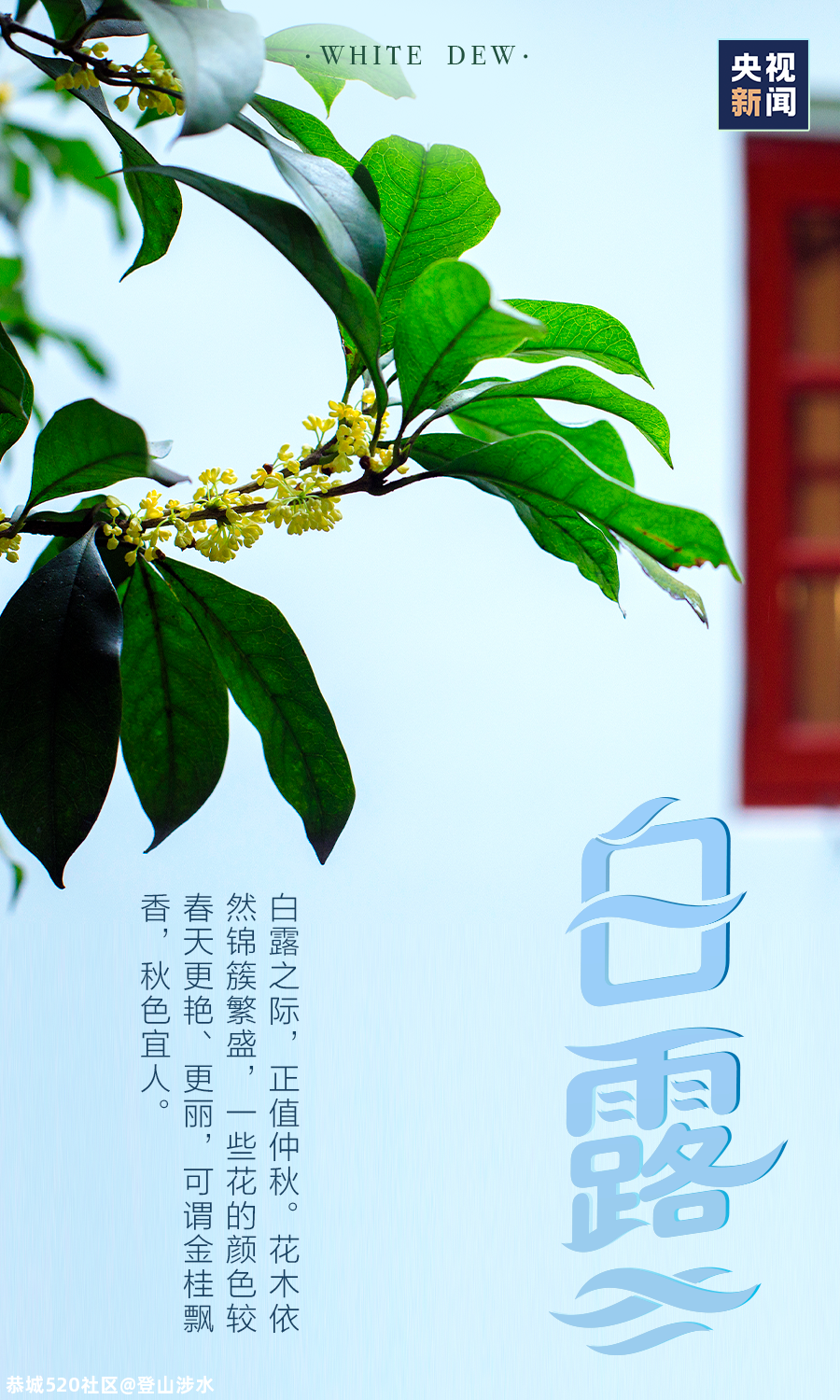 白露至，凉意浓613 / 作者:登山涉水 / 帖子ID:276573