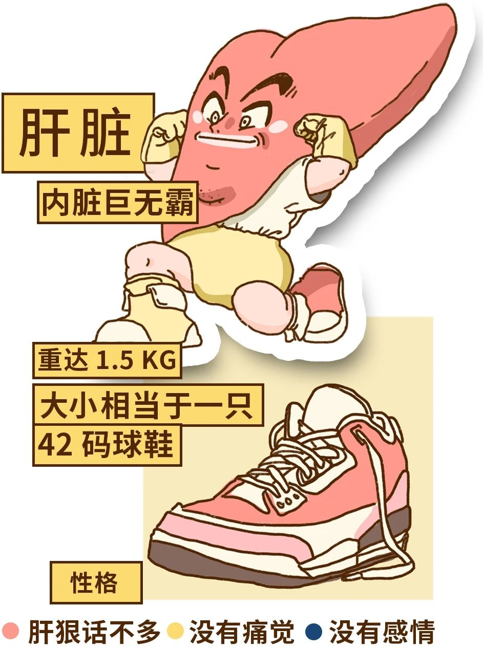 你的肝，是怎么一步步坏掉的514 / 作者:等风十里 / 帖子ID:276646