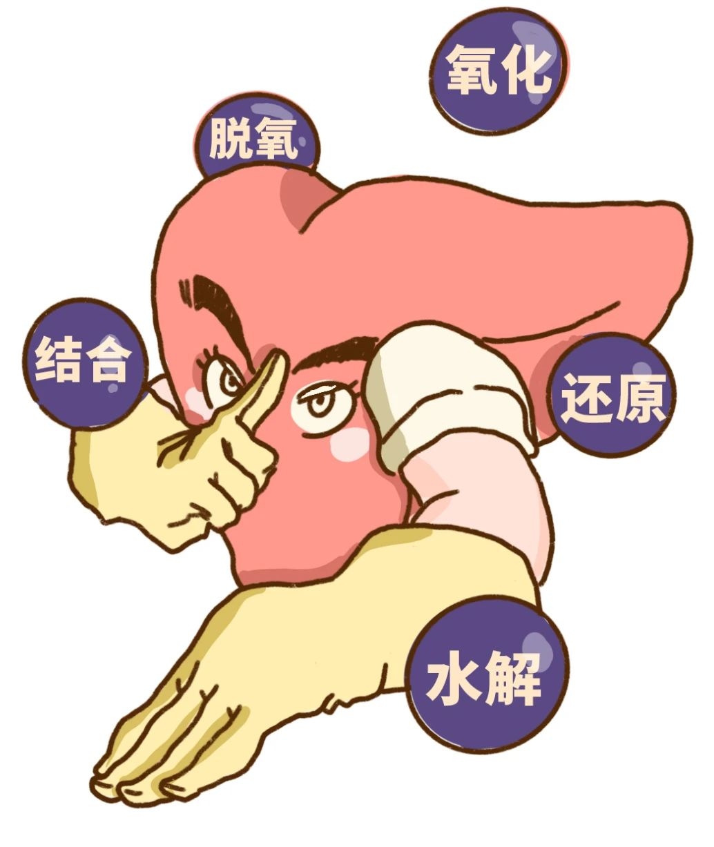 你的肝，是怎么一步步坏掉的559 / 作者:等风十里 / 帖子ID:276646
