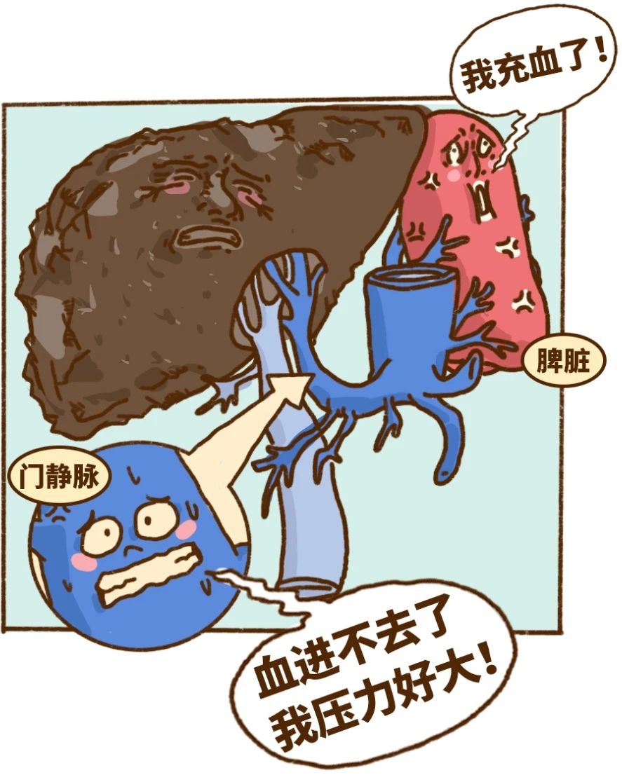 你的肝，是怎么一步步坏掉的474 / 作者:等风十里 / 帖子ID:276646