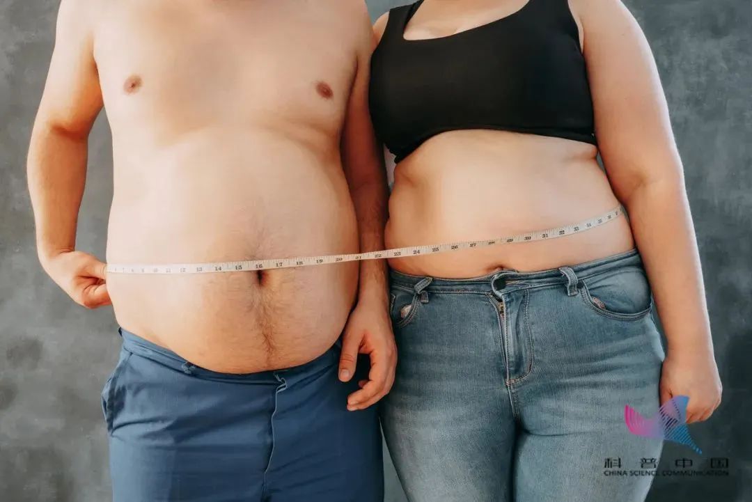 为啥总是男人胖肚，女人胖腿？肥胖真的会让人寿命变短？119 / 作者:華大夫 / 帖子ID:277026
