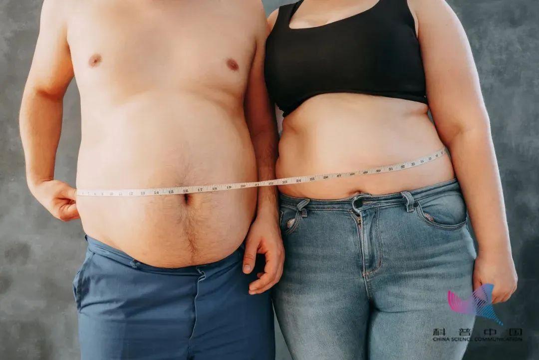 为啥总是男人胖肚，女人胖腿？肥胖真的会让人寿命变短？714 / 作者:華大夫 / 帖子ID:277026