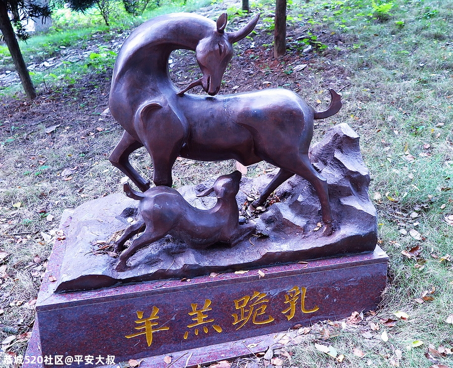 恭城的“忠孝园”可以啵！463 / 作者:平安大叔 / 帖子ID:277046