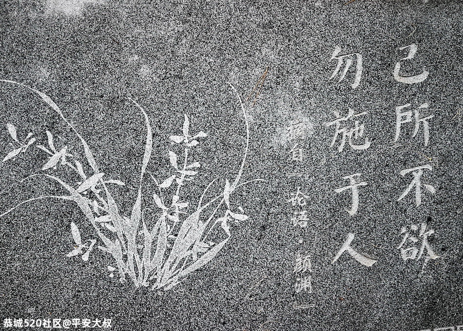 恭城的“忠孝园”可以啵！627 / 作者:平安大叔 / 帖子ID:277046