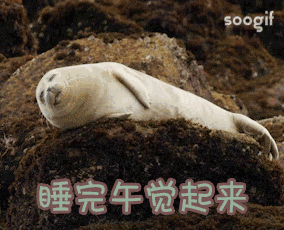 过度午睡可能诱发致命疾病，看完你还敢睡吗？419 / 作者:霁月吟 / 帖子ID:277063