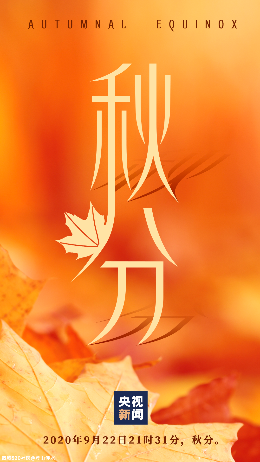 今日秋分856 / 作者:登山涉水 / 帖子ID:277247
