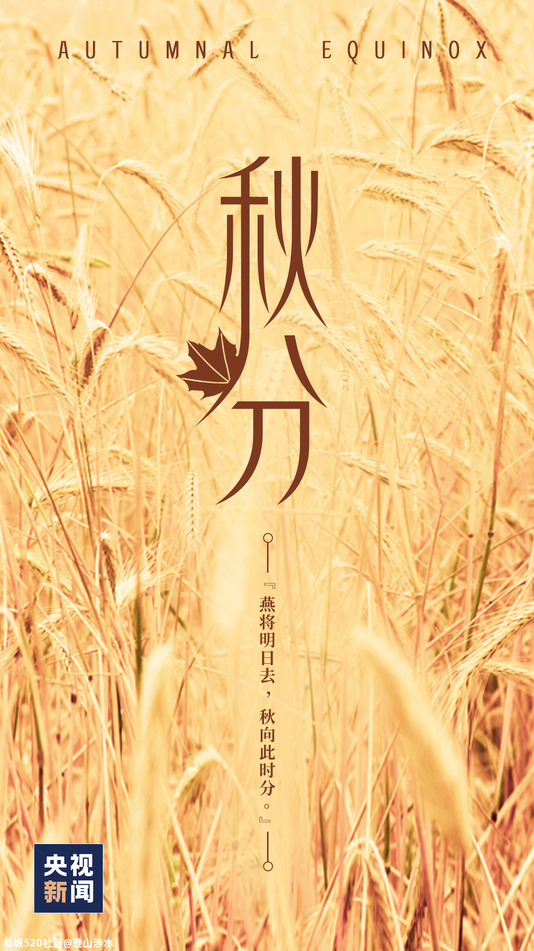今日秋分424 / 作者:登山涉水 / 帖子ID:277247