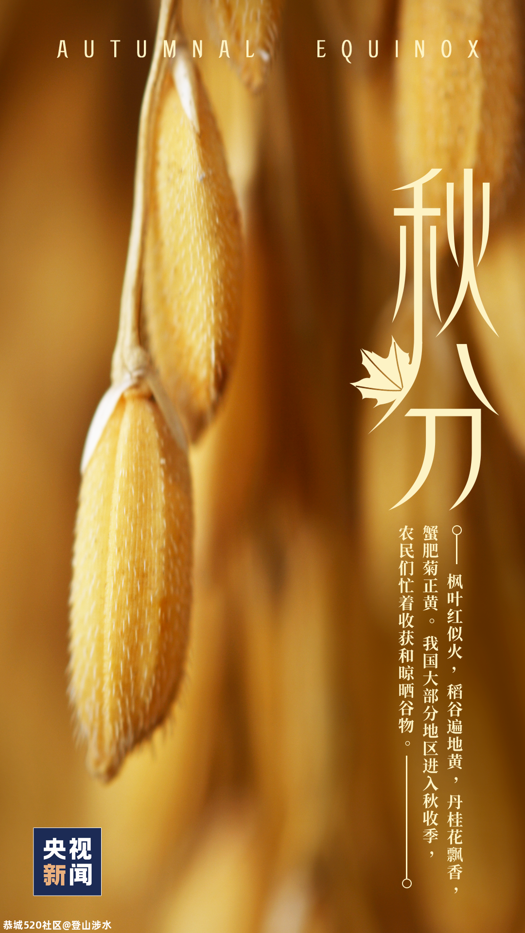今日秋分925 / 作者:登山涉水 / 帖子ID:277247
