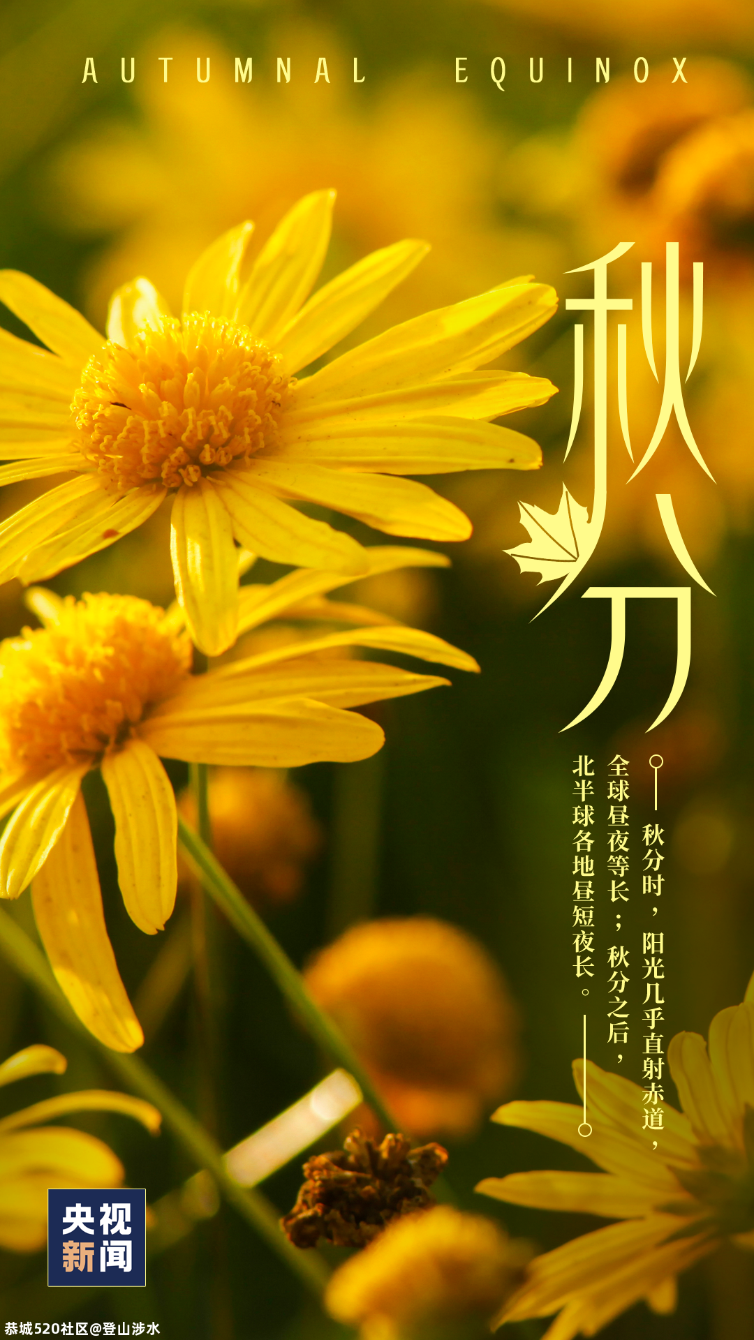 今日秋分686 / 作者:登山涉水 / 帖子ID:277247