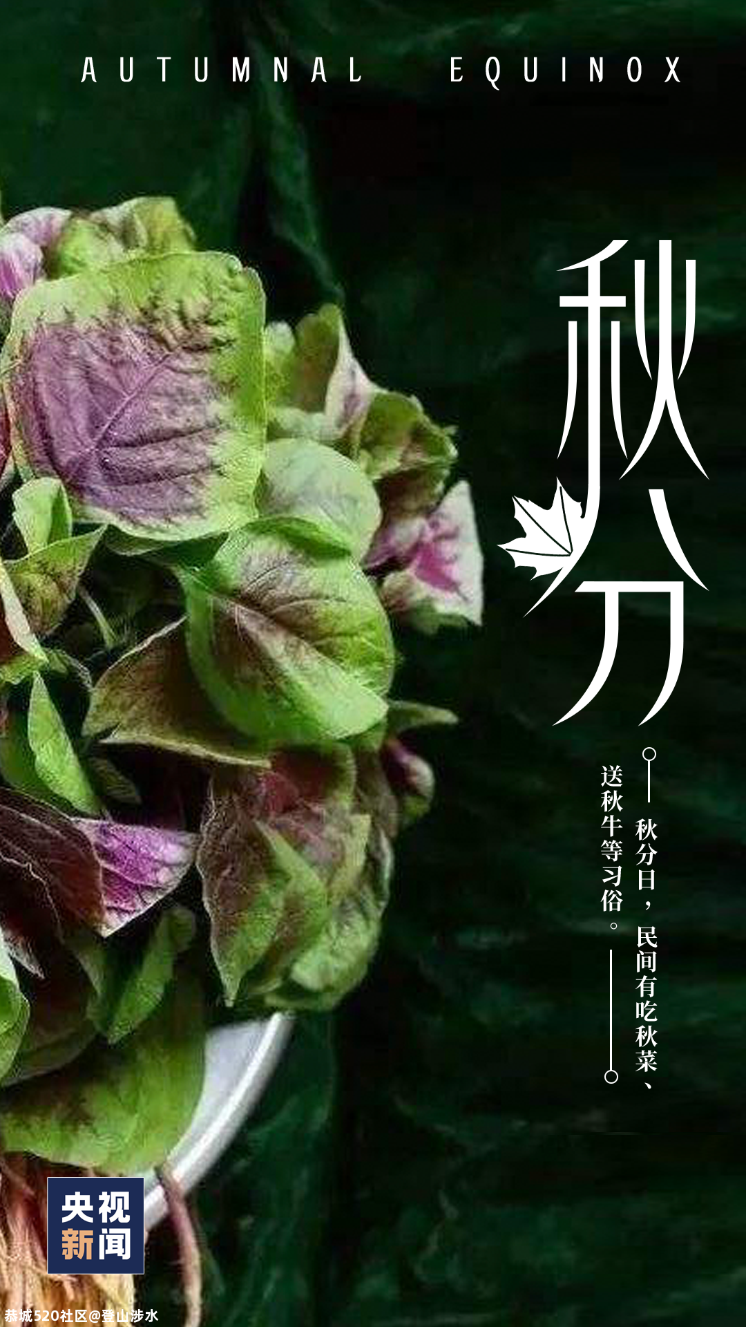 今日秋分825 / 作者:登山涉水 / 帖子ID:277247