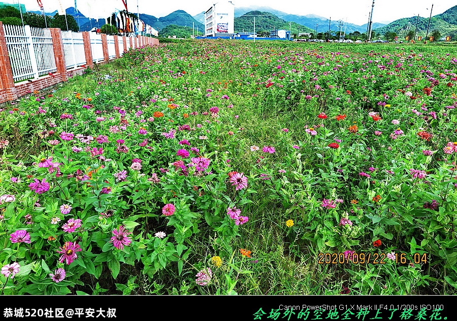 9月25号，我在恭城等你。708 / 作者:平安大叔 / 帖子ID:277368