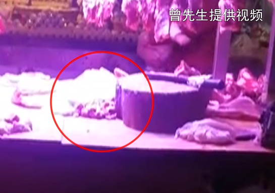 猪肉摊暗藏秘密！记者拍下贵阳摊贩造假全过程，手腕一抖好肉里掺进了……856 / 作者:刘冠华 / 帖子ID:277525
