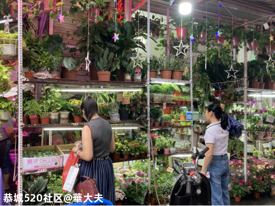 世界这么大，中秋回家看看吧！有人想回却回不了……914 / 作者:華大夫 / 帖子ID:277535