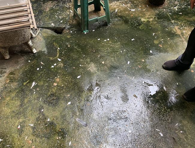 隔壁住了这样的“邻居”，居民抗议：太闹腾，根本睡不着236 / 作者:宇宙无限 / 帖子ID:277614