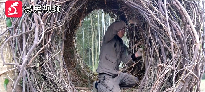 厉害了！这名95后贵州小伙靠自学技艺，成了大山里的“网红”，获粉几百万！809 / 作者:宇宙无限 / 帖子ID:277726