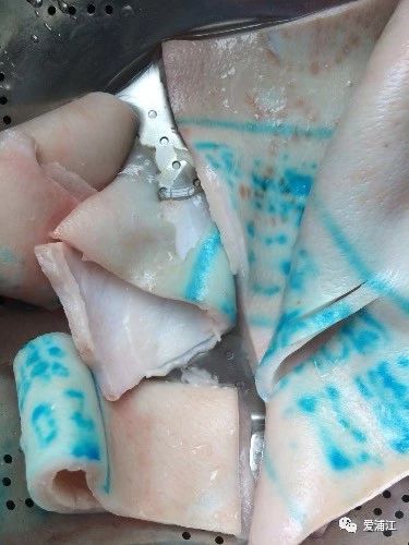 买到的猪肉竟然全是“蓝色颜料”？网友吐槽太恶心吃不下，专家这样回应......198 / 作者:華大夫 / 帖子ID:278111