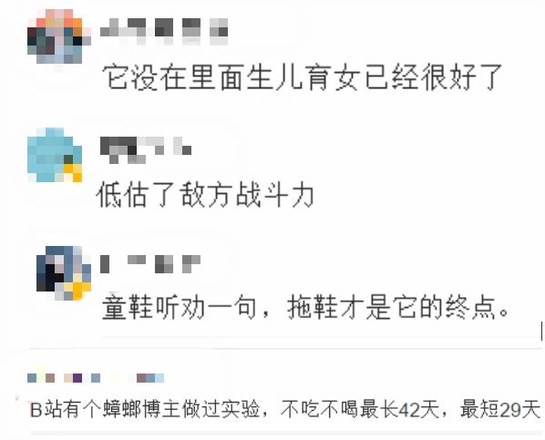 女子将蟑螂用锅盖罩住，没想到20天后……“小强”从来不会让人失望！730 / 作者:華大夫 / 帖子ID:278255