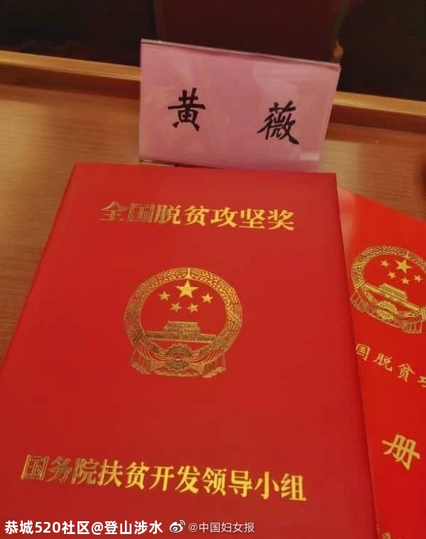 薇娅获全国三八红旗手后，又得奖了541 / 作者:登山涉水 / 帖子ID:278336