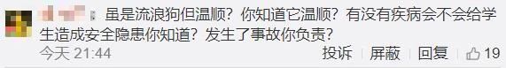 事发桂林一学校！流浪狗被直接打死？网友吵翻了...845 / 作者:華大夫 / 帖子ID:278338