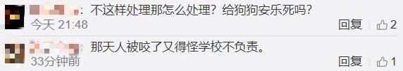 事发桂林一学校！流浪狗被直接打死？网友吵翻了...335 / 作者:華大夫 / 帖子ID:278338