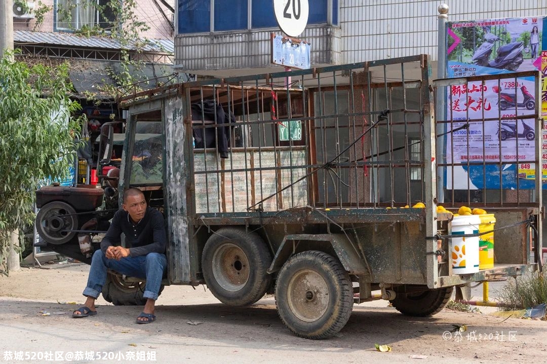 探访势江柿子交易市场，恭城柿子喜丰收，柿农盼能有个好销路！152 / 作者:恭城520小奈姐姐 / 帖子ID:278384