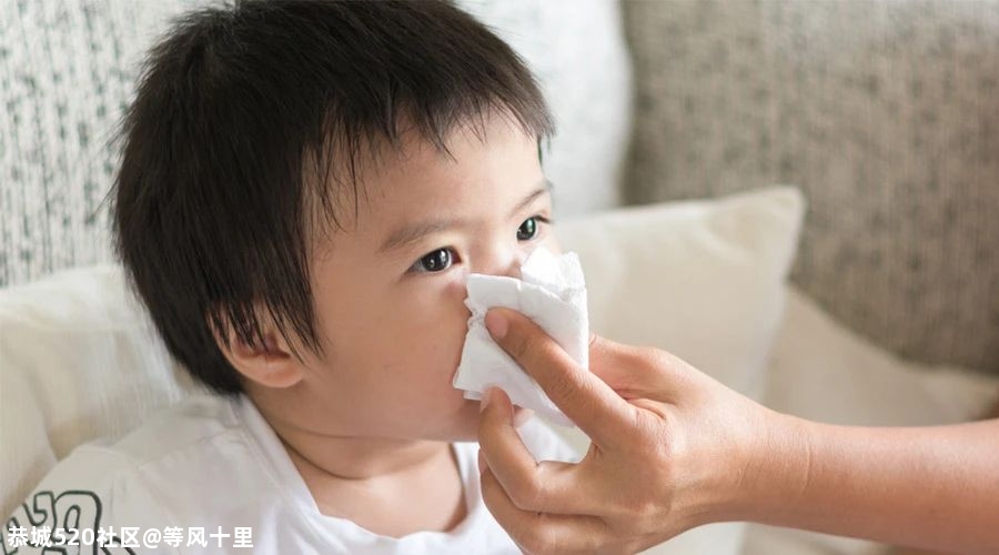 警惕！孩子打喷嚏、流鼻涕不一定是感冒，后果可能更严重85 / 作者:等风十里 / 帖子ID:278600