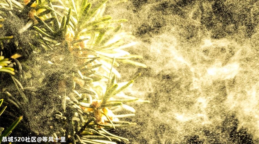 警惕！孩子打喷嚏、流鼻涕不一定是感冒，后果可能更严重169 / 作者:等风十里 / 帖子ID:278600