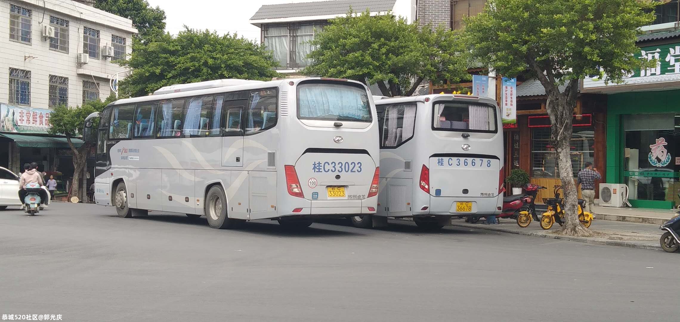 这么多大巴车，是从哪里来的，来做什么？534 / 作者:郭光庆 / 帖子ID:278644
