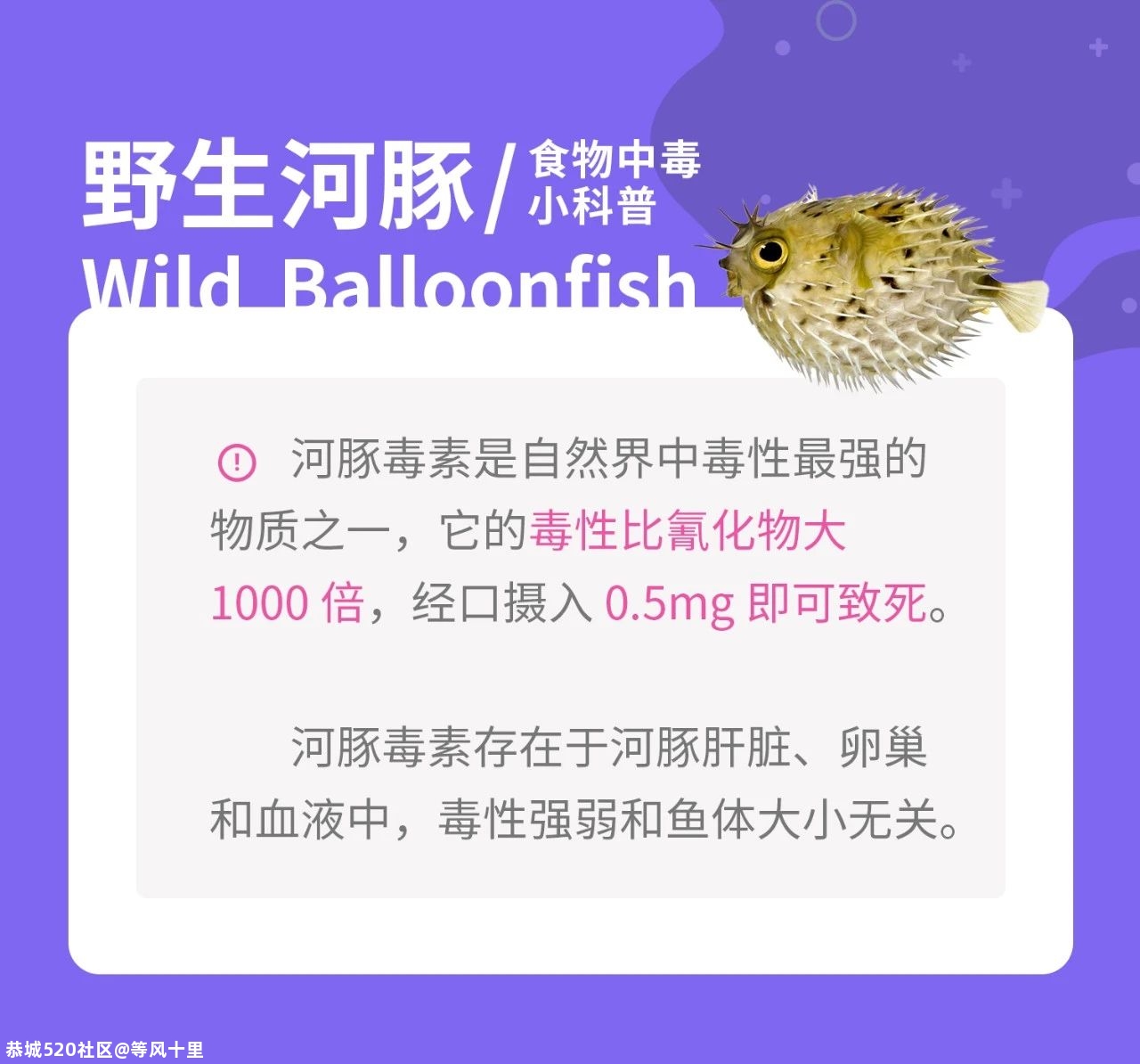 豆浆、木耳也能吃中毒！藏在食物里的致命威胁，一篇文章告诉你937 / 作者:等风十里 / 帖子ID:278840