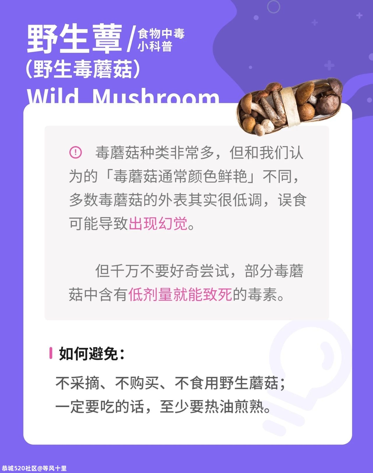 豆浆、木耳也能吃中毒！藏在食物里的致命威胁，一篇文章告诉你123 / 作者:等风十里 / 帖子ID:278840