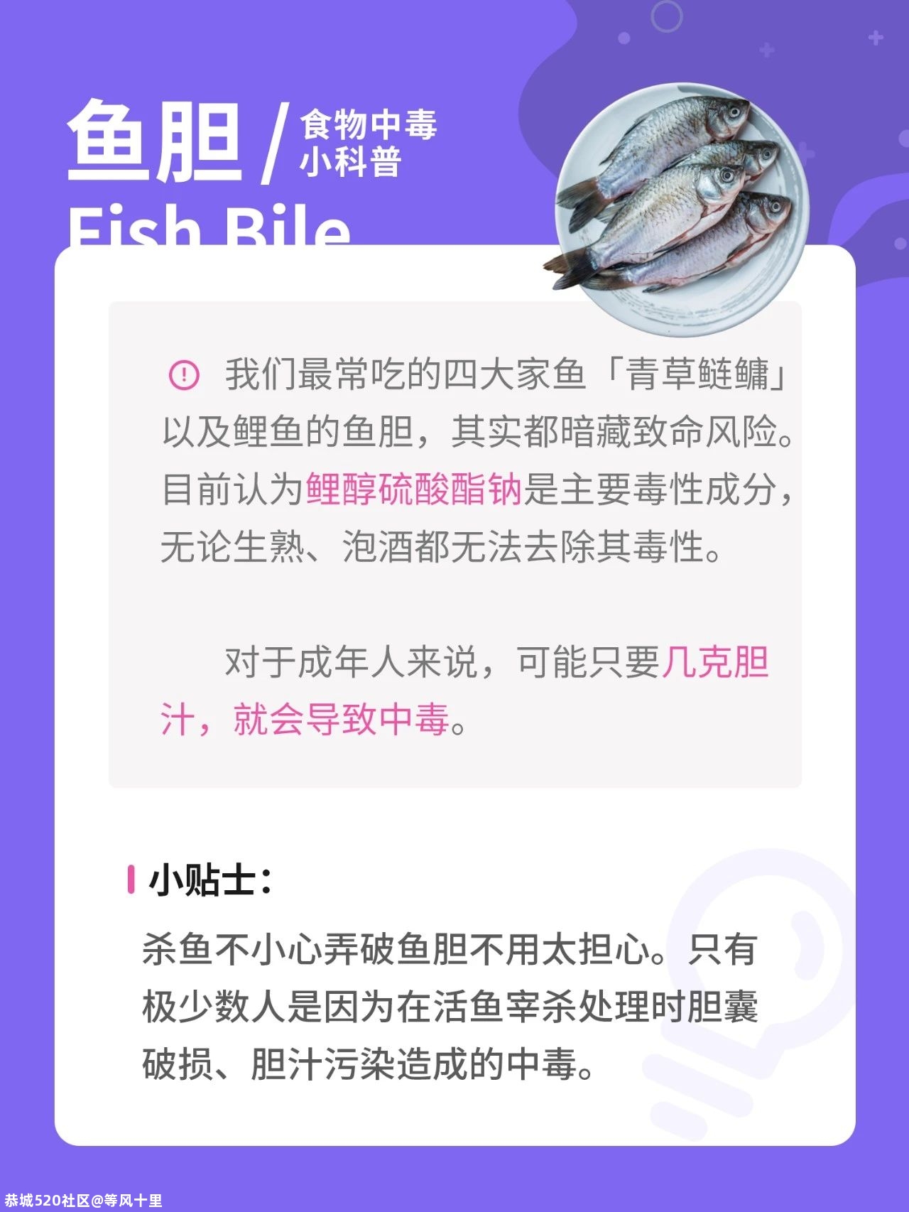 豆浆、木耳也能吃中毒！藏在食物里的致命威胁，一篇文章告诉你828 / 作者:等风十里 / 帖子ID:278840