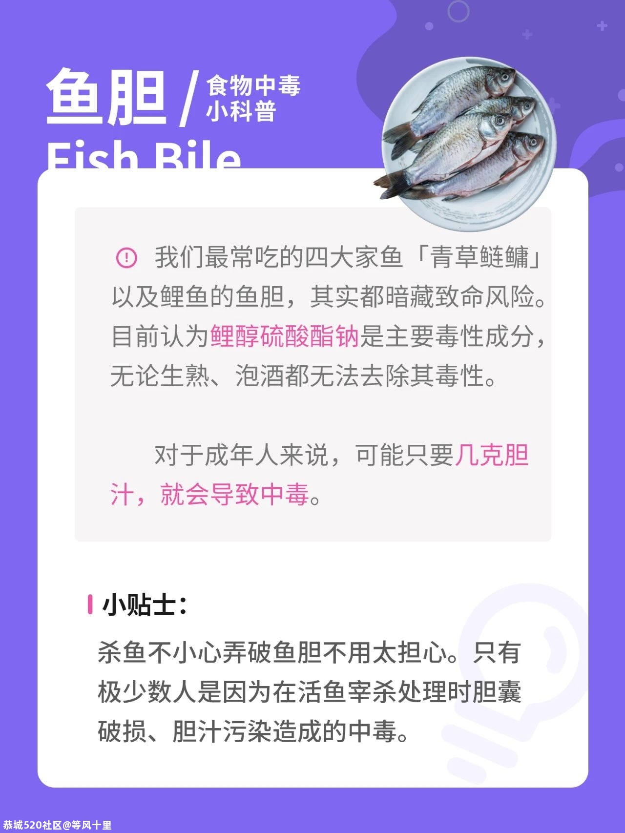 豆浆、木耳也能吃中毒！藏在食物里的致命威胁，一篇文章告诉你897 / 作者:等风十里 / 帖子ID:278840