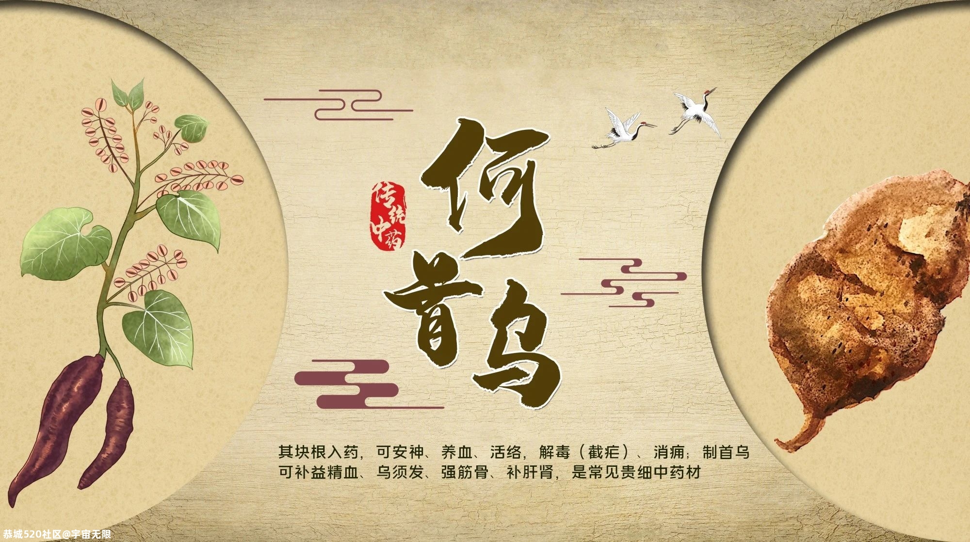 悲剧了！90后小伙用TA治白发，结果全身“变黄”，还…244 / 作者:宇宙无限 / 帖子ID:278904