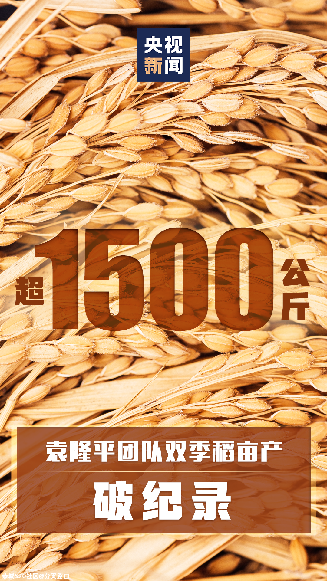 破纪录！372 / 作者:分叉路口 / 帖子ID:278916