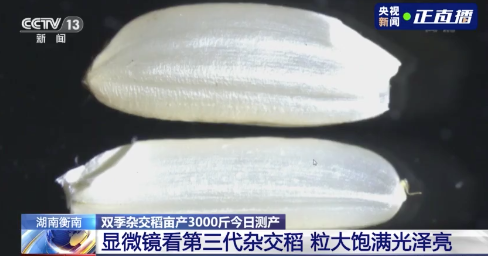 破纪录！460 / 作者:分叉路口 / 帖子ID:278916
