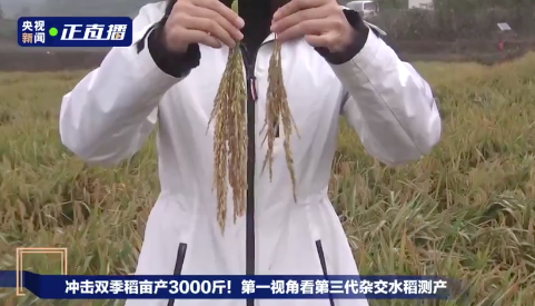 破纪录！461 / 作者:分叉路口 / 帖子ID:278916