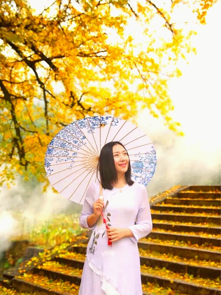 银杏993 / 作者:笔墨清韵 / 帖子ID:279098