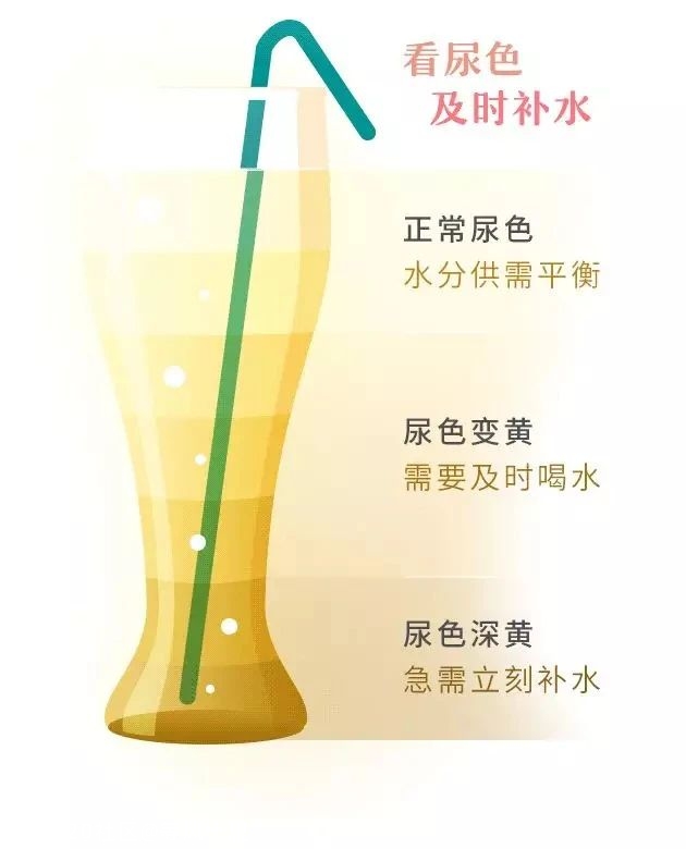 别再土豆配米饭了！20 个生活小误区，现在知道还不晚385 / 作者:等风十里 / 帖子ID:279285