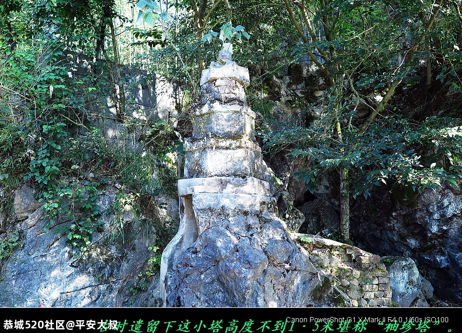 这个免费旅游蛮爽。527 / 作者:平安大叔 / 帖子ID:279299