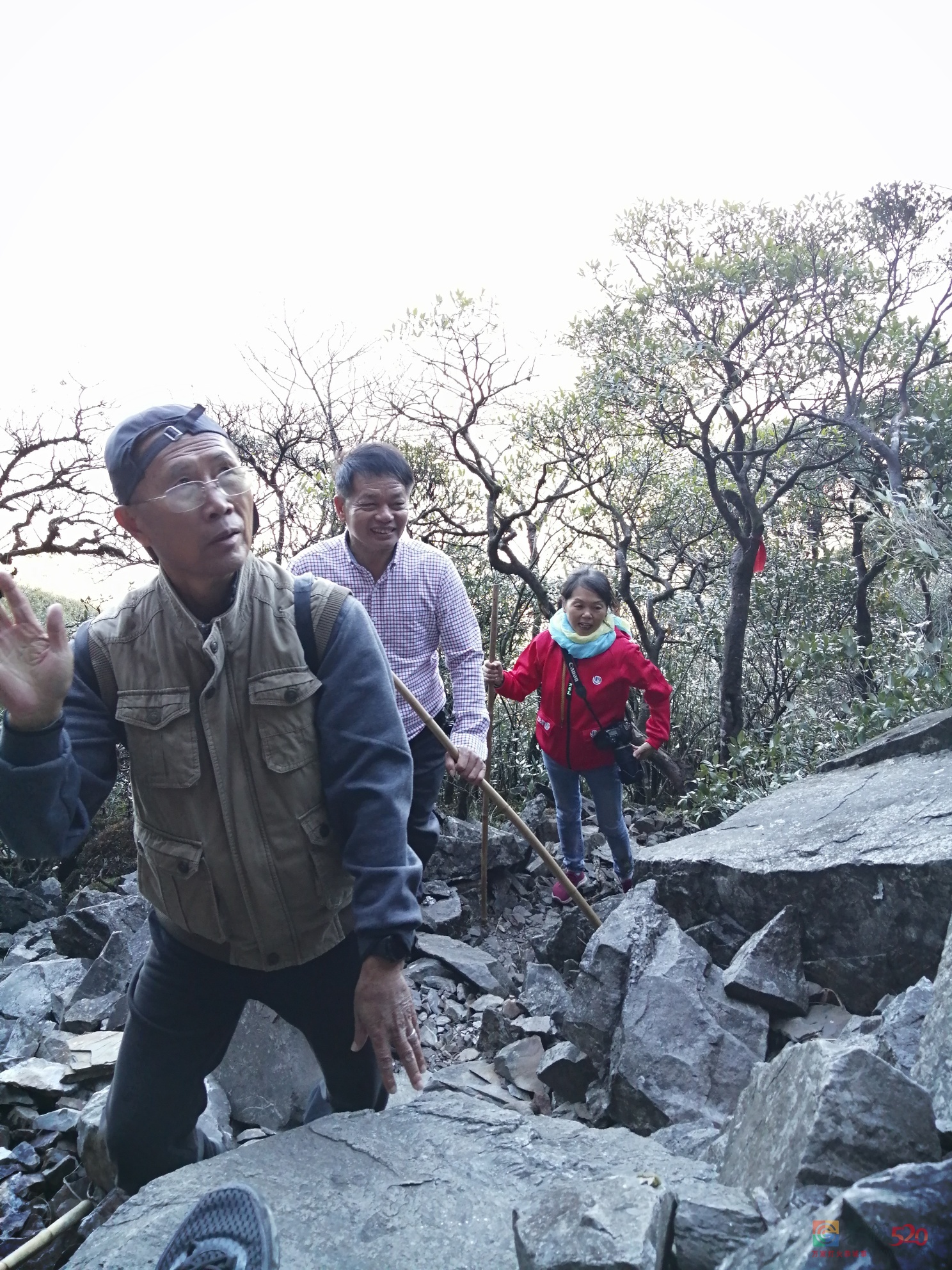 老年勇士登山674 / 作者:悠闲 / 帖子ID:279435