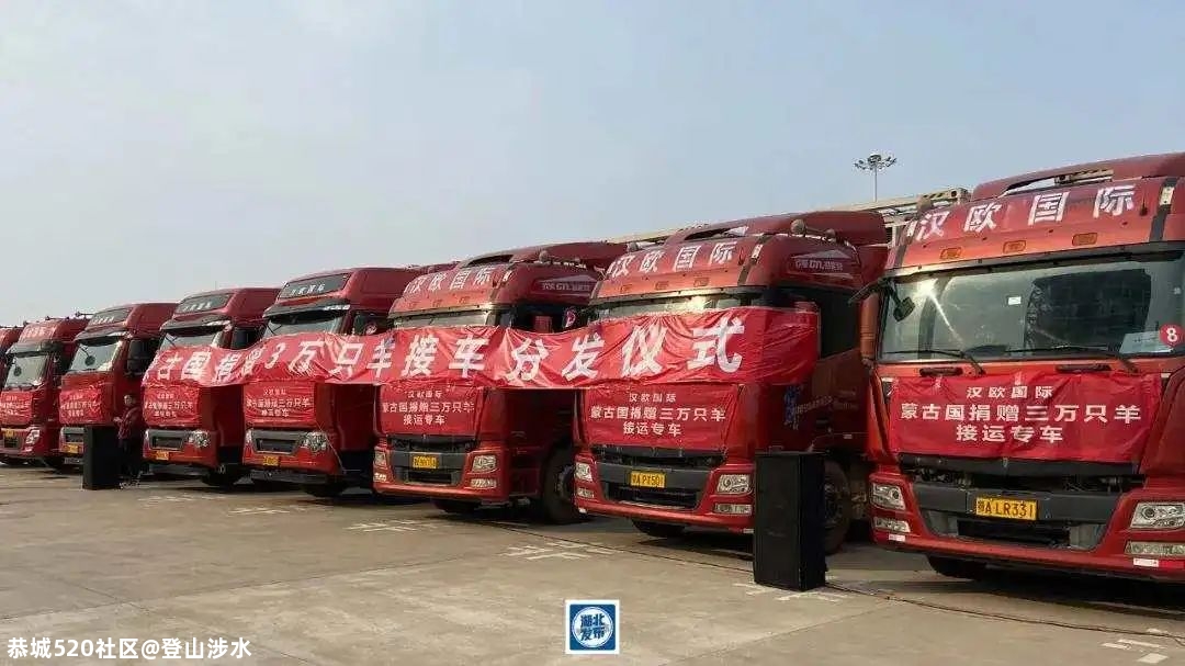 3万只羊这样分！全网点赞572 / 作者:登山涉水 / 帖子ID:279575