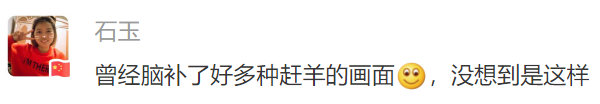 3万只羊这样分！全网点赞69 / 作者:登山涉水 / 帖子ID:279575