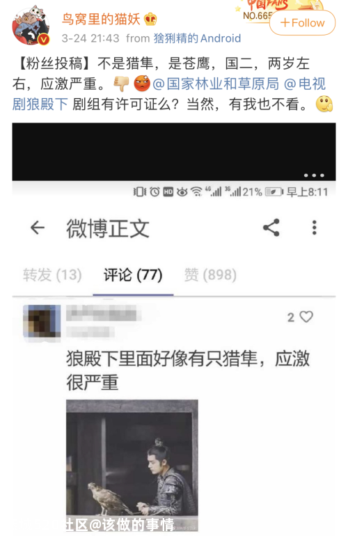 用国家二级保护动物拍摄还假称特效？《狼殿下》引争议279 / 作者:该做的事情 / 帖子ID:279579
