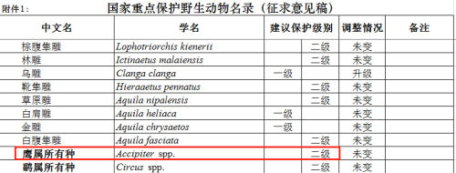 用国家二级保护动物拍摄还假称特效？《狼殿下》引争议960 / 作者:该做的事情 / 帖子ID:279579