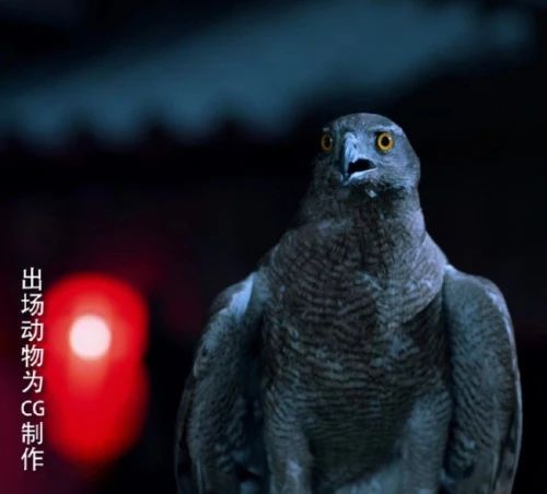 用国家二级保护动物拍摄还假称特效？《狼殿下》引争议716 / 作者:该做的事情 / 帖子ID:279579