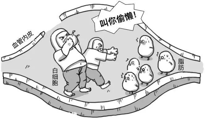 为什么说每个人的血管都可能会堵？1000 / 作者:健康小天使 / 帖子ID:279623
